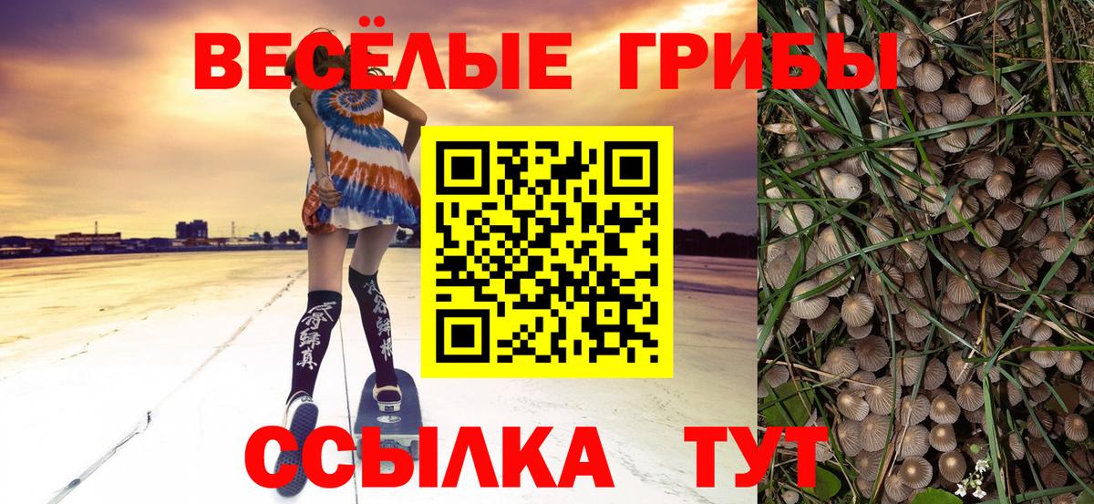Псилоцибиновые грибы Magic Shrooms  Вход с VPN  Псилоцибиновые грибы GOLDEN TEACHER  Вичуга 